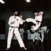 Traditionnel Taekwondo