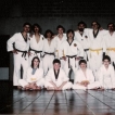 Traditionnel Taekwondo